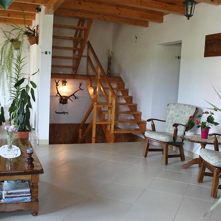 Apartamento Casa Altius Felix Băile Felix Exterior foto